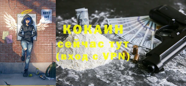 МДПВ Кукмор