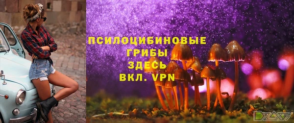 прущая мука Ладушкин
