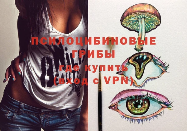 МДПВ Кукмор