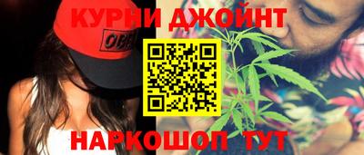 Альфа ПВП Гатчина