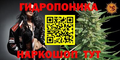 скорость mdpv Гай