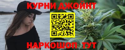 Альфа ПВП Гатчина