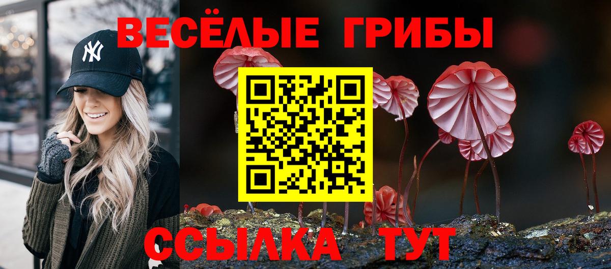 Галлюциногенные грибы Magic Shrooms Йошкар-Ола
