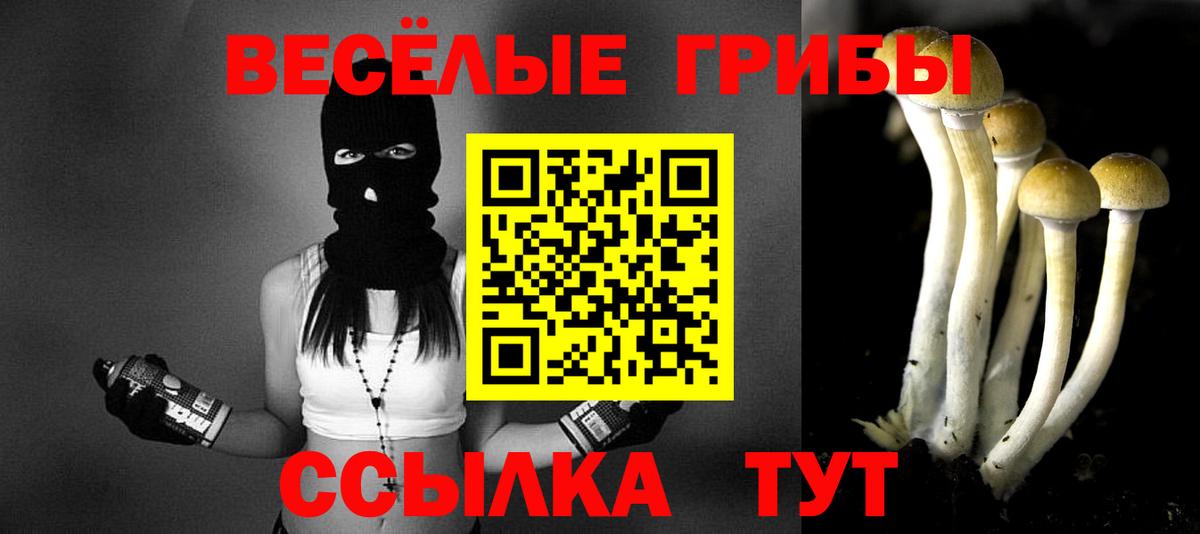 Йошкар-Ола  Галлюциногенные грибы Psilocybine cubensis  сколько стоит  Вход с VPN 