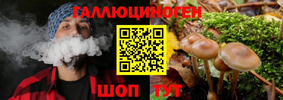 Галлюциногенные грибы Cubensis Йошкар-Ола